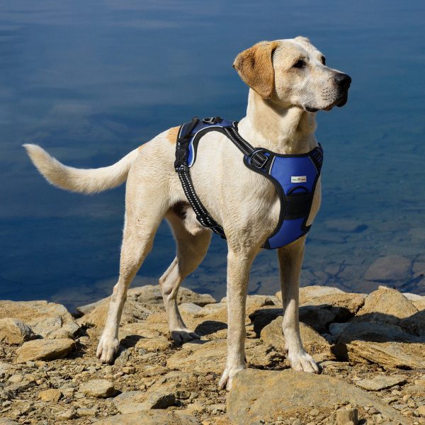 Vest Harness - Image 5