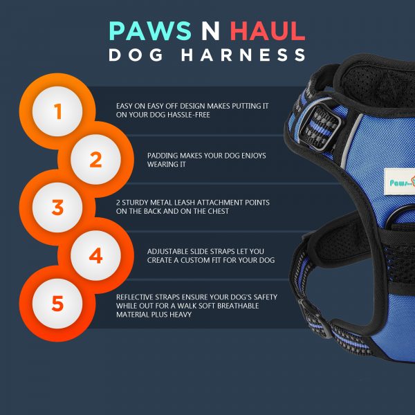 Vest Harness - Image 6